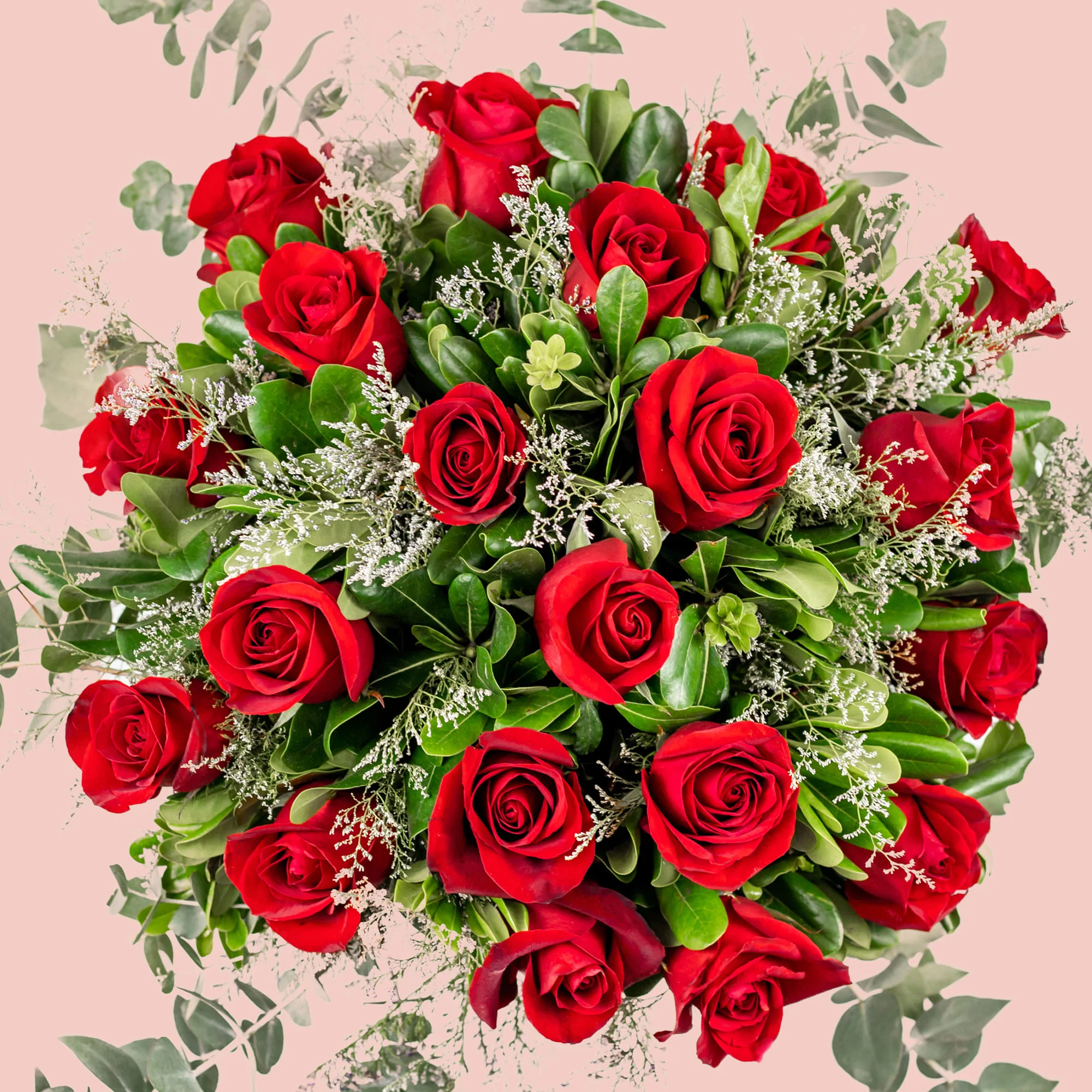 Imagen del producto 6